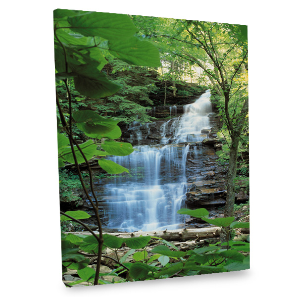 Natural Falls Canvas Photo Decor Print | Winkflash